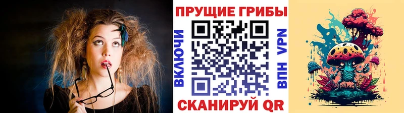 Псилоцибиновые грибы Psilocybine cubensis Кузнецк